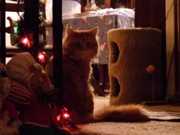 Uploaded image: 116710169393698.jpg
