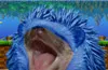Uploaded image: 116826875741916.jpg