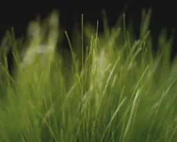 Uploaded image: 116842006410933.jpg