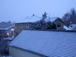 Uploaded image: 116848269328940.jpg