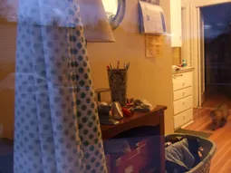 Uploaded image: 116848408223945.jpg