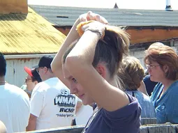 Uploaded image: 1169433743251130.jpg