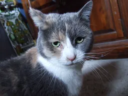 Uploaded image: 1170622720711241.png