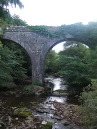 Uploaded image: 1173221218951419.jpg