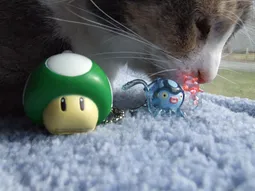 Uploaded image: 1175002462651559.png