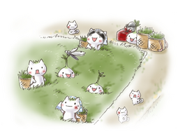 Uploaded image: 116519599159171.jpg
