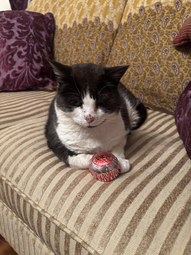 Uploaded image: IMG_1259.jpeg