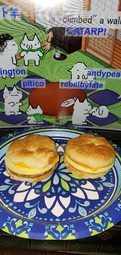 Uploaded image: 20260617_090657.jpg