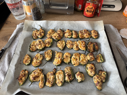 Uploaded image: IMG_5095.jpeg