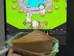 Uploaded image: flan.jpg