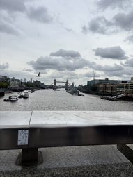 Uploaded image: IMG_5986.jpeg
